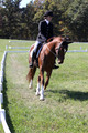 Emily Kagey on Flicka, Beginner Novice Horse Trials Junior A
