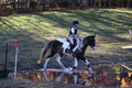 Reagan Roy on Paint By Numbers, Green Horse Trials Junior