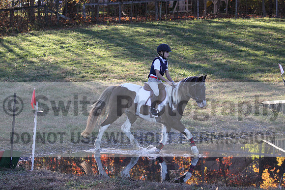 Reagan Roy on Paint By Numbers, Green Horse Trials Junior