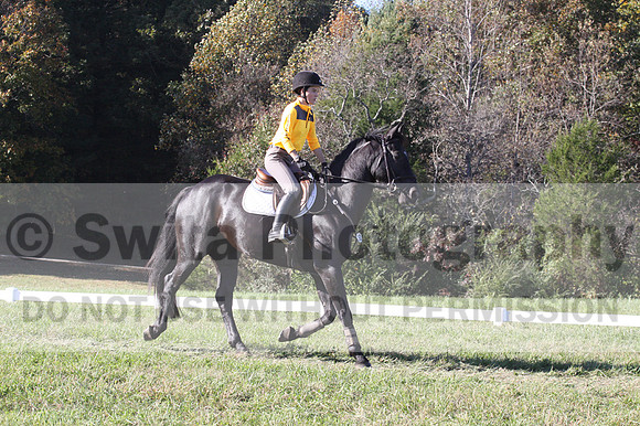 Madlen Lesesne on SBF Figaro, Advanced Green Horse Trials B