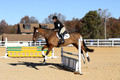 Emily Beshear on My Combination, Novice Horse Trials Senior
