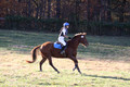 Kylie Oseguera on Boss Man, Advanced Green Horse Trials Junior B