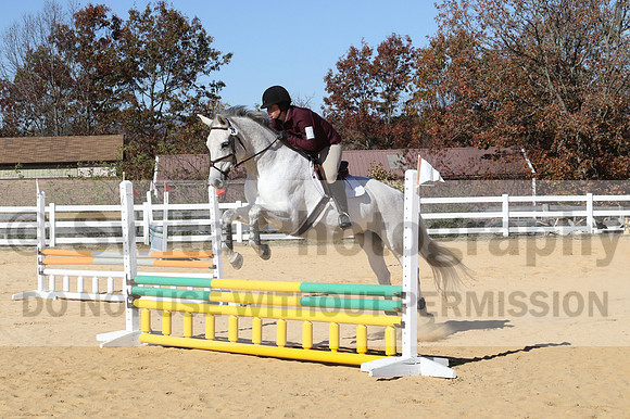 Shannon Bower on Bastille, Beginner Novice Combined Test