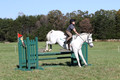 Violet Cross on Elpin Odin, Beginner Novice Horse Trials Junior B