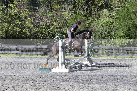 Lauren Seitz on Lyra, Green Combined Test