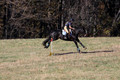 Leah Childers on Priscilla, Beginner Novice Horse Trials Junior B