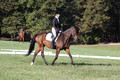 Margo Hardy on Soling's Hat Trick, Novice Horse Trials Senior B
