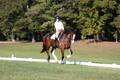 Allie Farley on Fiona, Novice Horse Trials Senior A