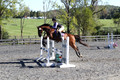 Mandolin Whitten on Thistle, Novice Horse Trials