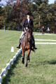 Margo Hardy on Soling's Hat Trick, Novice Horse Trials Senior B
