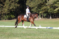 Allie Farley on Fiona, Novice Horse Trials Senior A