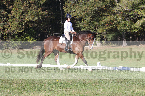 Allie Farley on Fiona, Novice Horse Trials Senior A