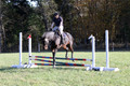 Lauren Seitz on Lyra Belacqua WRF, Advanced Green Combined Test