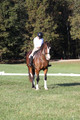 Allie Farley on Fiona, Novice Horse Trials Senior A