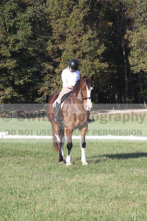 Allie Farley on Fiona, Novice Horse Trials Senior A