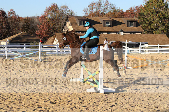 Alison O'Connor on Harwich Maximus, Green Horse Trials Senior