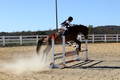 Ingrid Dunn on Ruby Redbird, Beginner Novice Horse Trials Senior C