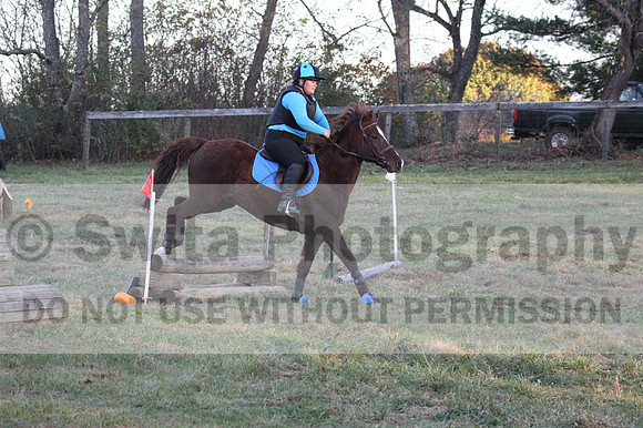 Alison O'Connor on Harwich Maximus, Green Horse Trials Senior