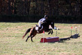 Erica Jones on Bingo, Advanced Green Horse Trials Senior A