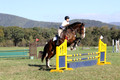 Allie Farley on Fiona, Novice Horse Trials Senior A