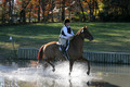 Elizabeth Brown on Adagio, Advanced Green Horse Trials Senior A