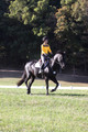 Madlen Lesesne on SBF Figaro, Advanced Green Horse Trials B