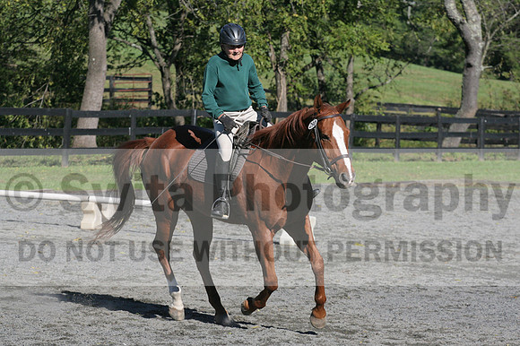 John Weir on Admiral, Dressage Only: Training Level, Test 2/3