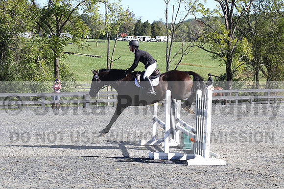 Wenzhao Zhang on High Roller, Beginner Novice Senior Horse Trials A