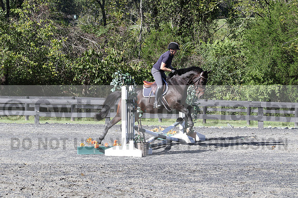 Lauren Seitz on Lyra, Green Combined Test