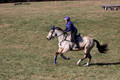 Brynn Katany on Cady O'Daly Artisan, Beginner Novice Horse Trials Junior A