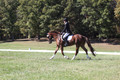 Emily Kagey on Flicka, Beginner Novice Horse Trials Junior A
