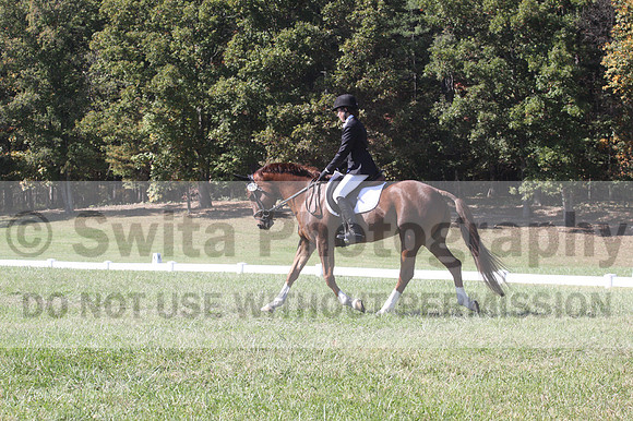 Emily Kagey on Flicka, Beginner Novice Horse Trials Junior A