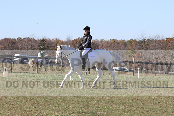 Kay Brady on Destiny's Mystique, Beginner Novice Horse Trials Senior B