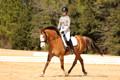 P22E1949