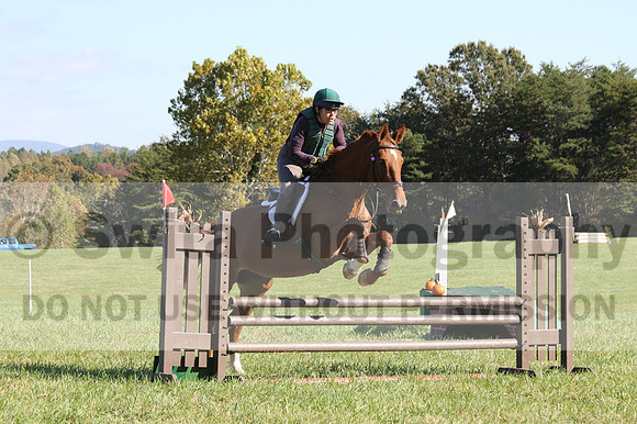 Terry Adcock on Irish Belle, Novice Horse Trials Senior B, Dressage Only: First Level, Test 2