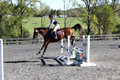 Mandolin Whitten on Thistle, Novice Horse Trials