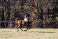 Ingrid Dunn on Ruby Redbird, Beginner Novice Horse Trials Senior C