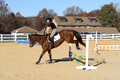 Abby Loving on Royal Filigree, Advanced Green Horse Trials Senior A