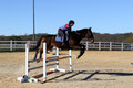 Shannon Daily on Pitt Maneuver, Novice Horse Trials Senior
