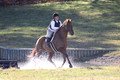 Elizabeth Brown on Adagio, Advanced Green Horse Trials Senior A