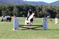 Elizabeth Schooley on Pearl, Advanced Green Horse Trials A