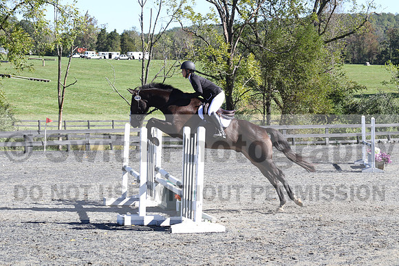 Wenzhao Zhang on High Roller, Beginner Novice Senior Horse Trials A