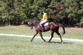 Emily Digney on American Airman, Beginner Novice Horse Trials Senior B