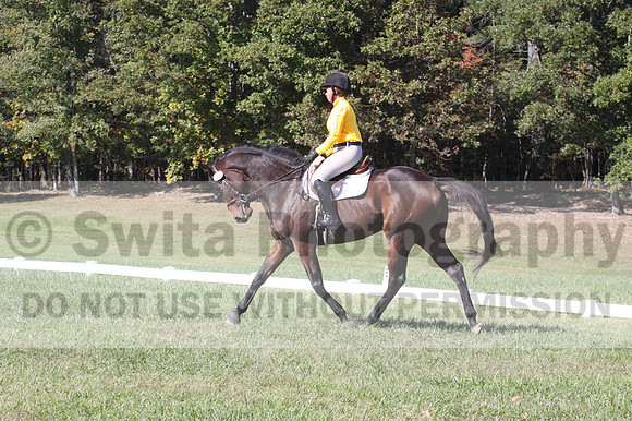 Emily Digney on American Airman, Beginner Novice Horse Trials Senior B