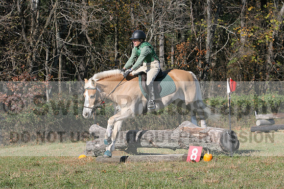 Sally Nunneley on Gingerman, Beginner Novice Horse Trials Senior A