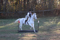 Kendall Duffy on Aspen, Green Horse Trials Senior