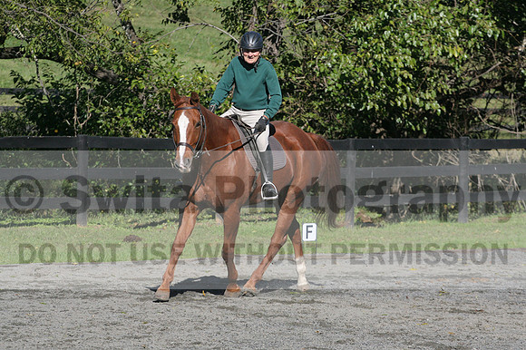 John Weir on Admiral, Dressage Only: Training Level, Test 2/3
