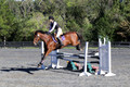 Mandolin Whitten on Thistle, Novice Horse Trials