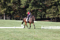 Shannon Daily on Pitt Maneuver, Novice Horse Trials Senior B