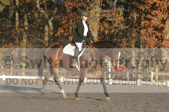 Thea Miller on Something Glamorous, Dressage Only: Training Level, Test 3